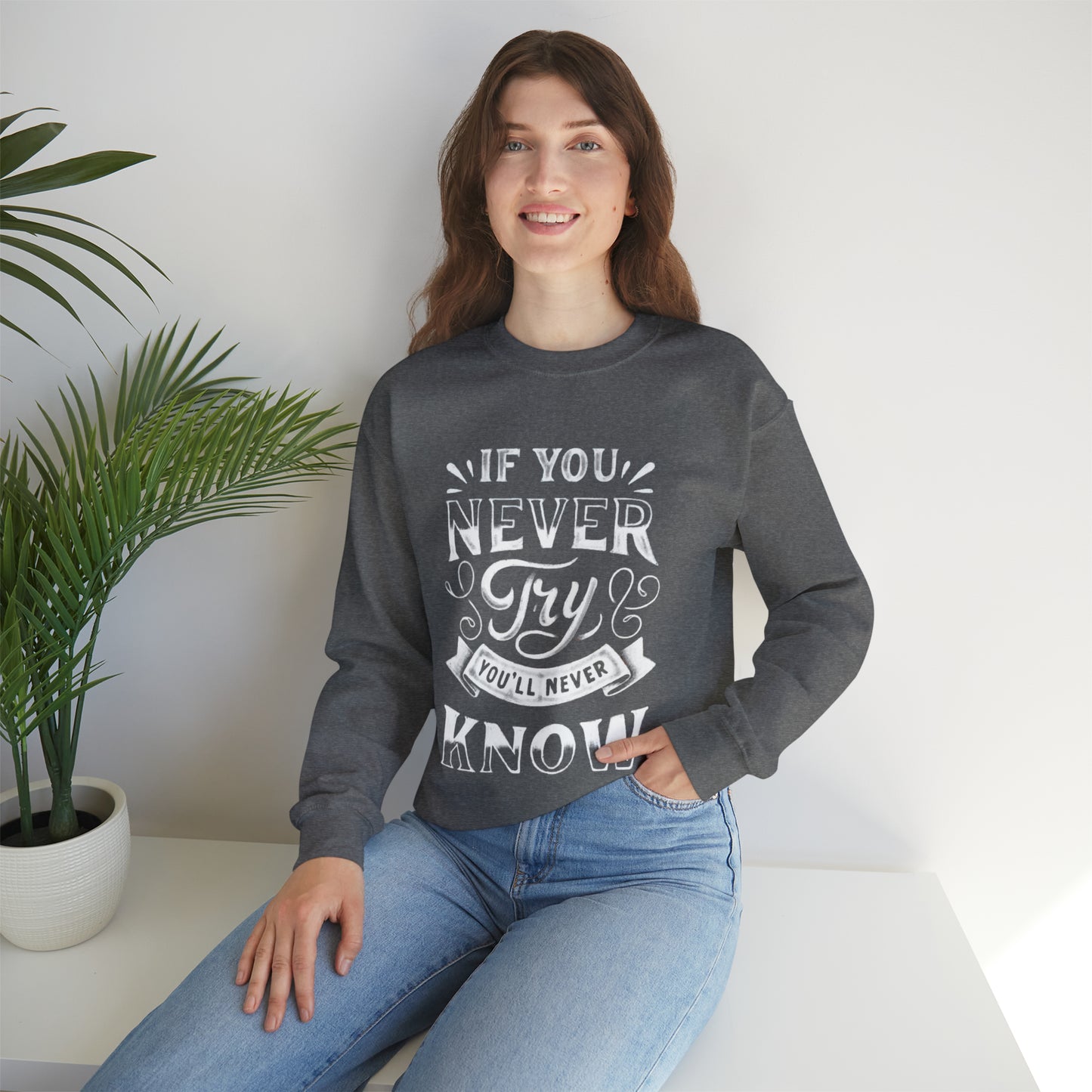 If You Never Try You'll Never Know Sweatshirt