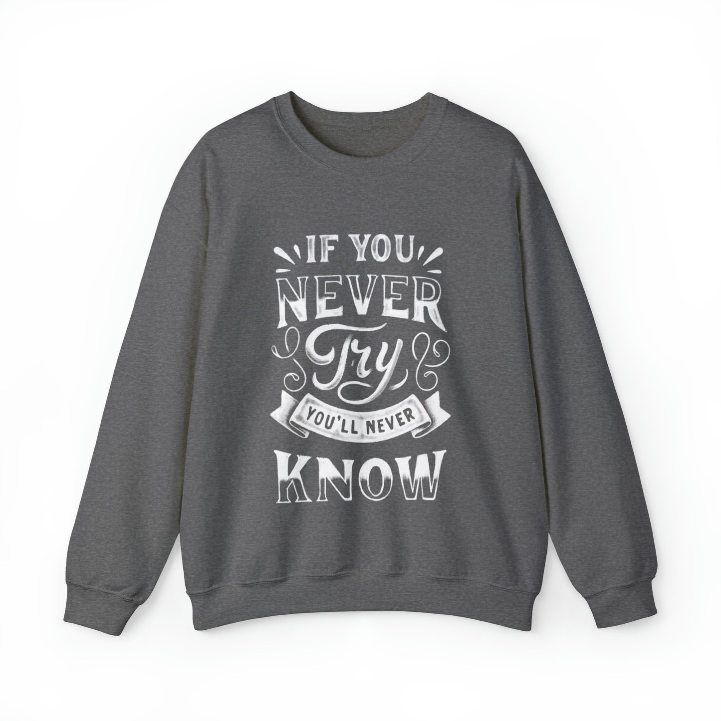 If You Never Try You'll Never Know Sweatshirt