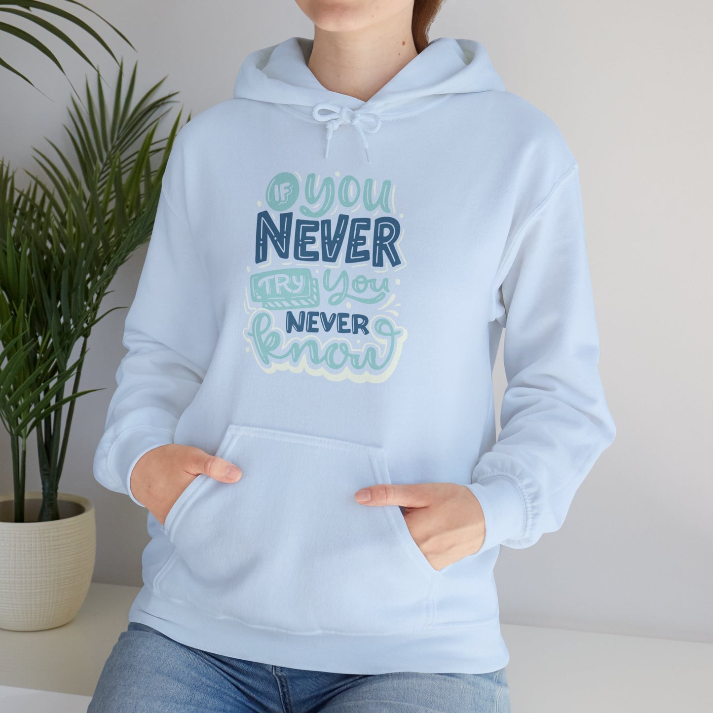 If You Never Try You Never Know Hoodie