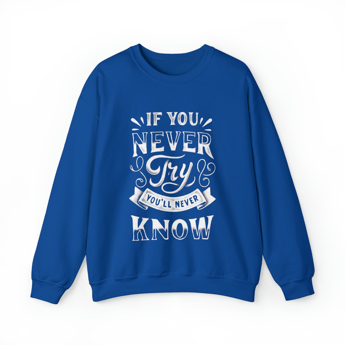 If You Never Try You'll Never Know Sweatshirt