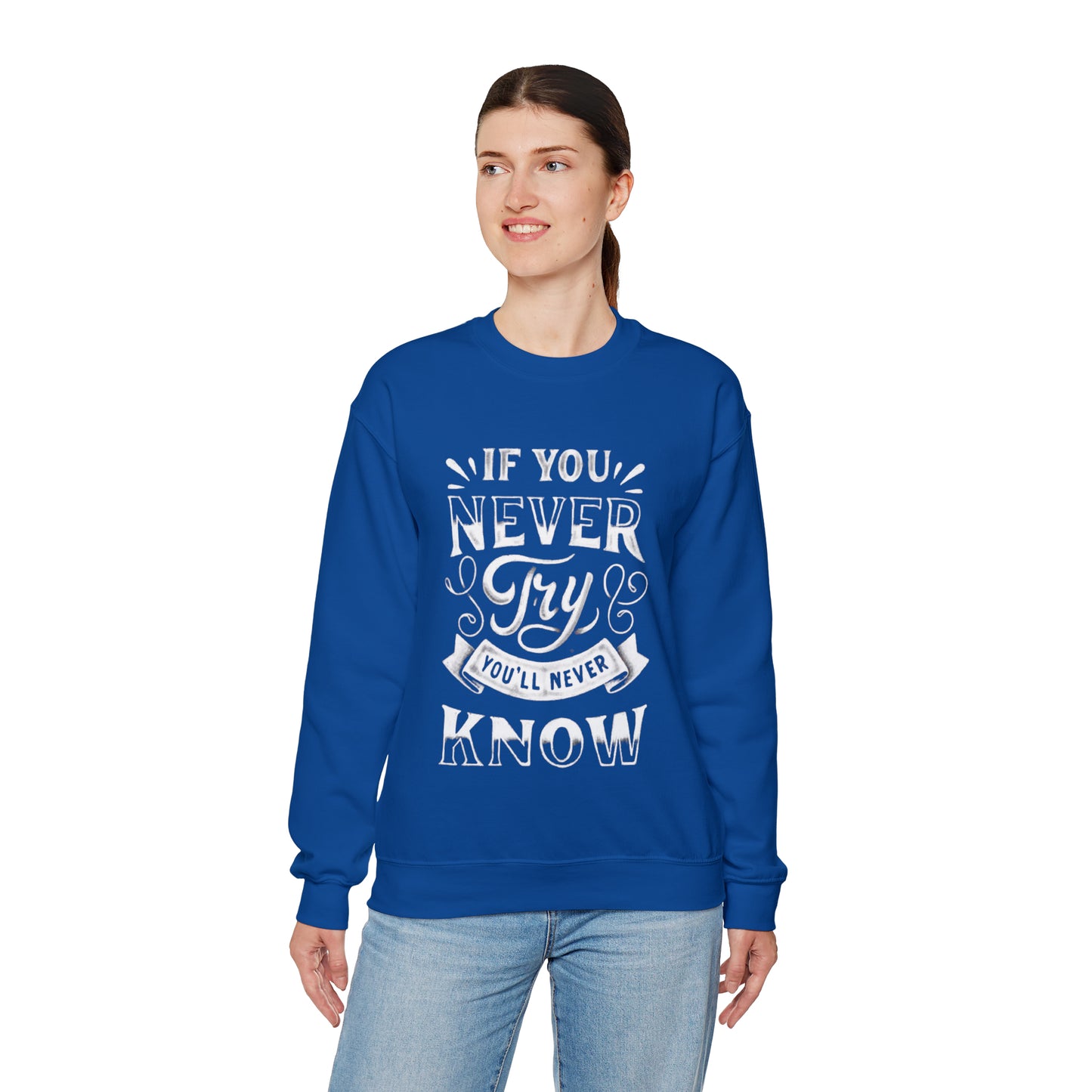 If You Never Try You'll Never Know Sweatshirt