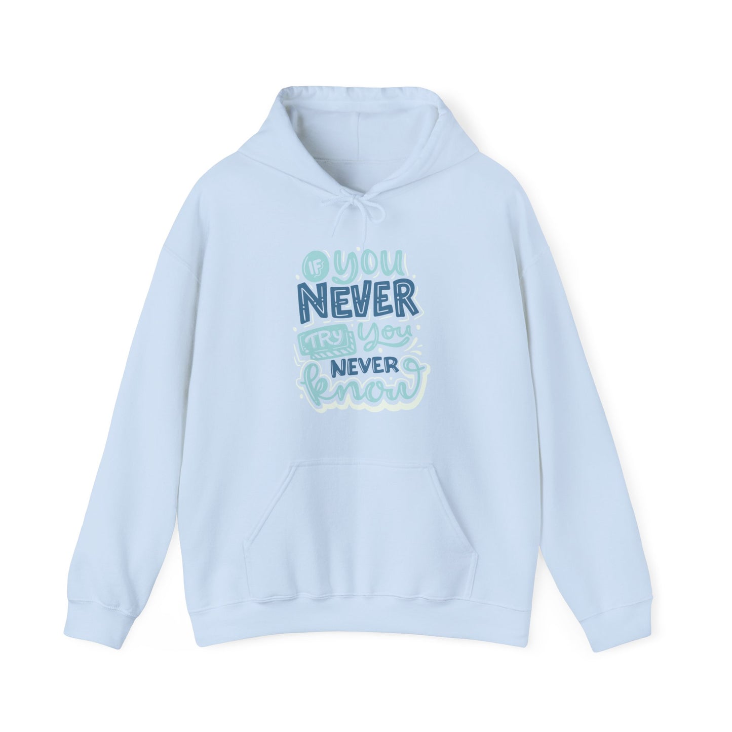 If You Never Try You Never Know Hoodie